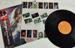Винтажная виниловая пластинка LP Ted Nugent Weekend Warriors (Japan 1978) (Obi)