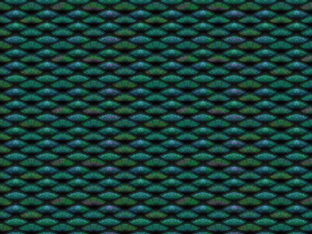 Фреска Applico, коллекция Textures