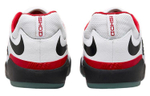 Кроссовки Nike Sb Ishod "Chicago"