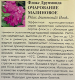 Флокс Очарование малиновое друммонда, 0,05 г СМЦ-286