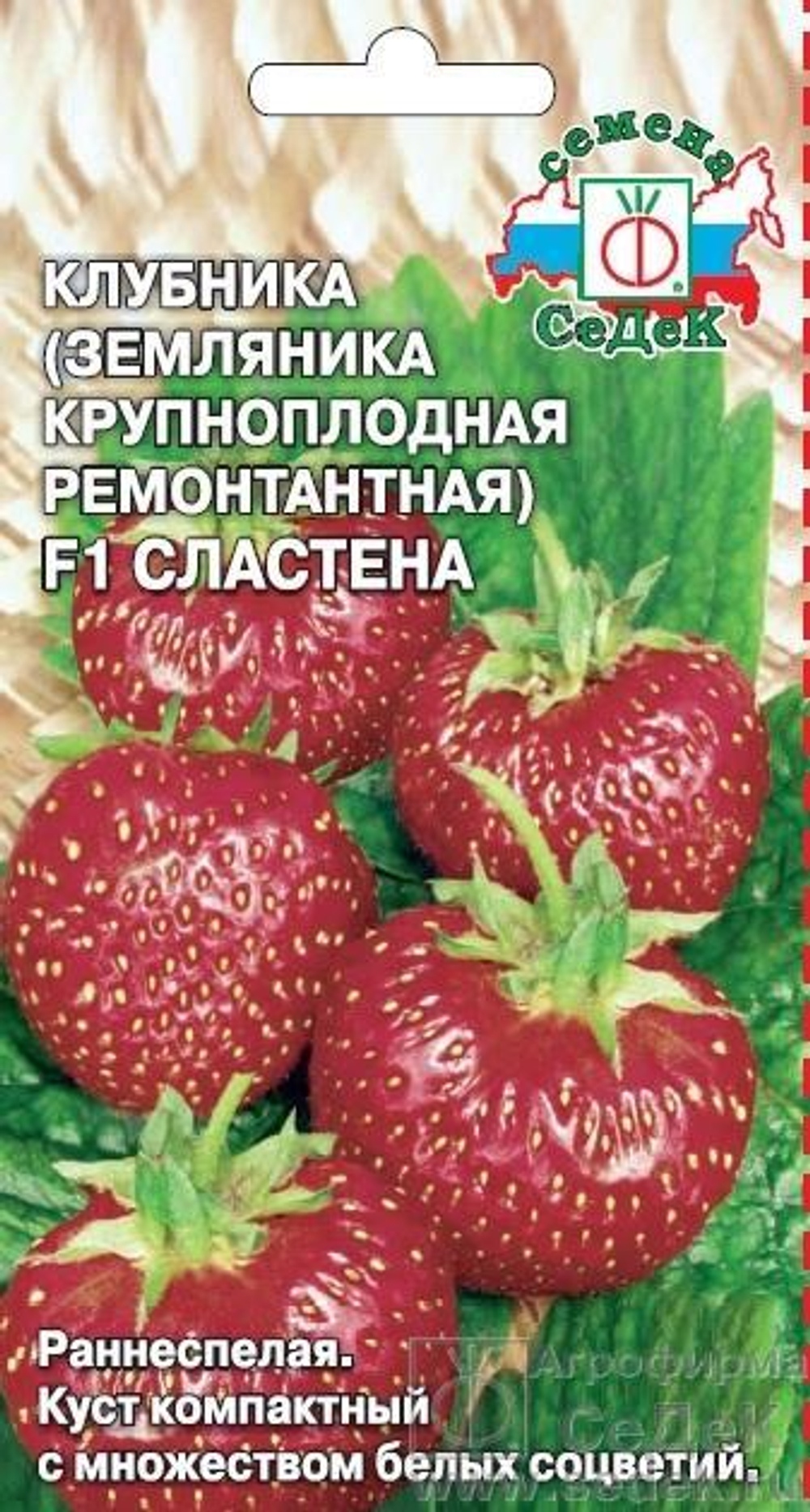 Земляника Сластена F1 (крупноплодная ремонтант.,клубника) Седек
