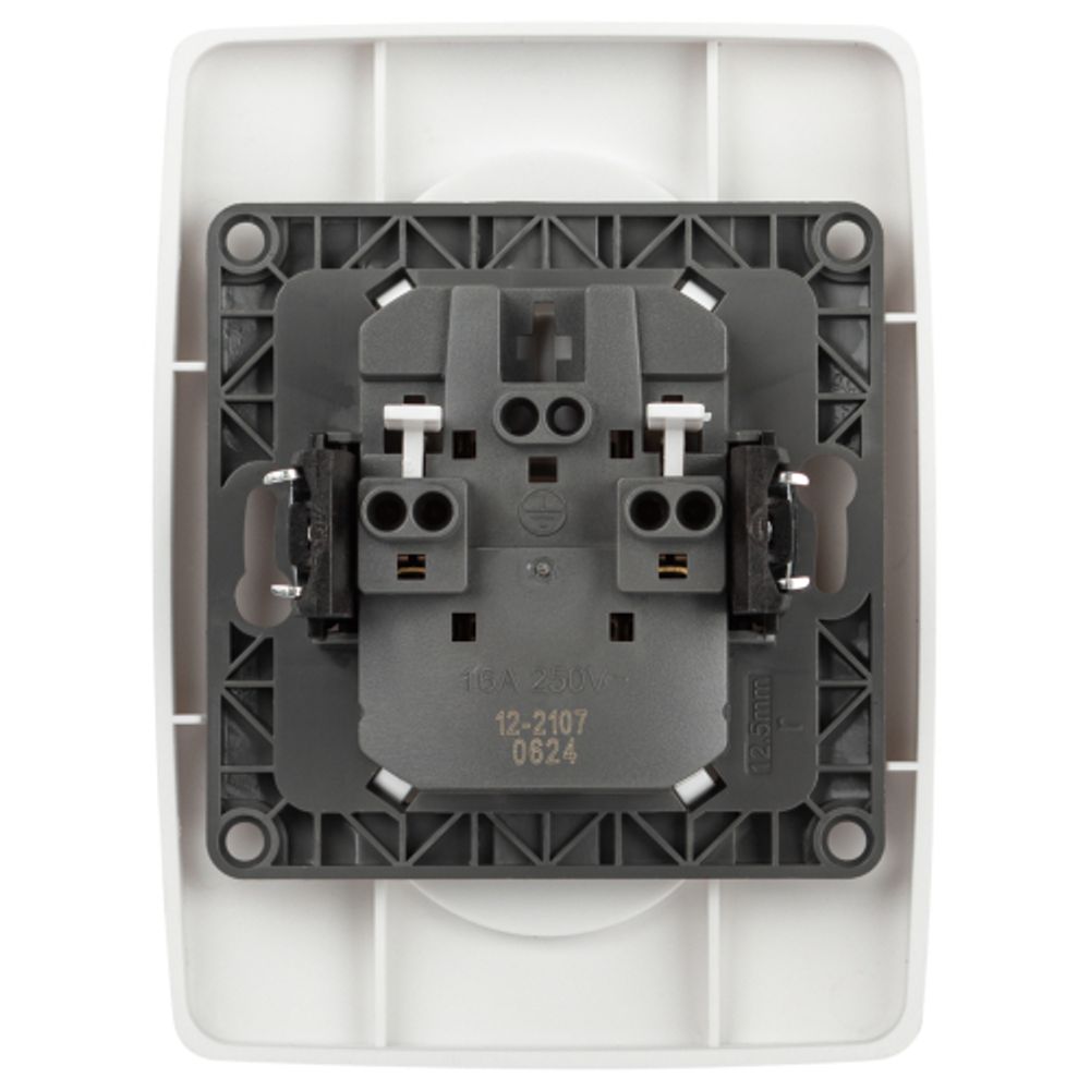 Розетка ЭРА Серия 12 12-2107-01М , 2X2P, 16А-250В, белый матовый