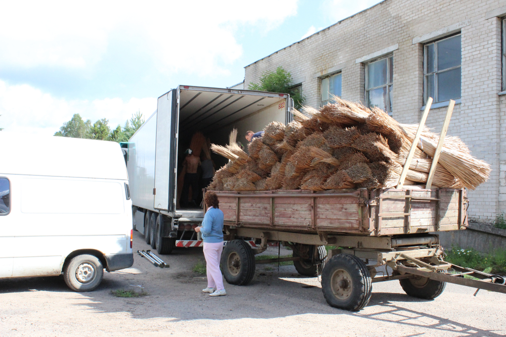 Прут ивовый очищенный Арт№ SP250