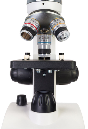 Микроскоп Levenhuk Discovery Femto Polar с книгой