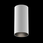 Накладной светильник Maytoni Artisan C080CL-01-GU10-W