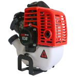 Двигатель бензиновый EVOline 1E34F