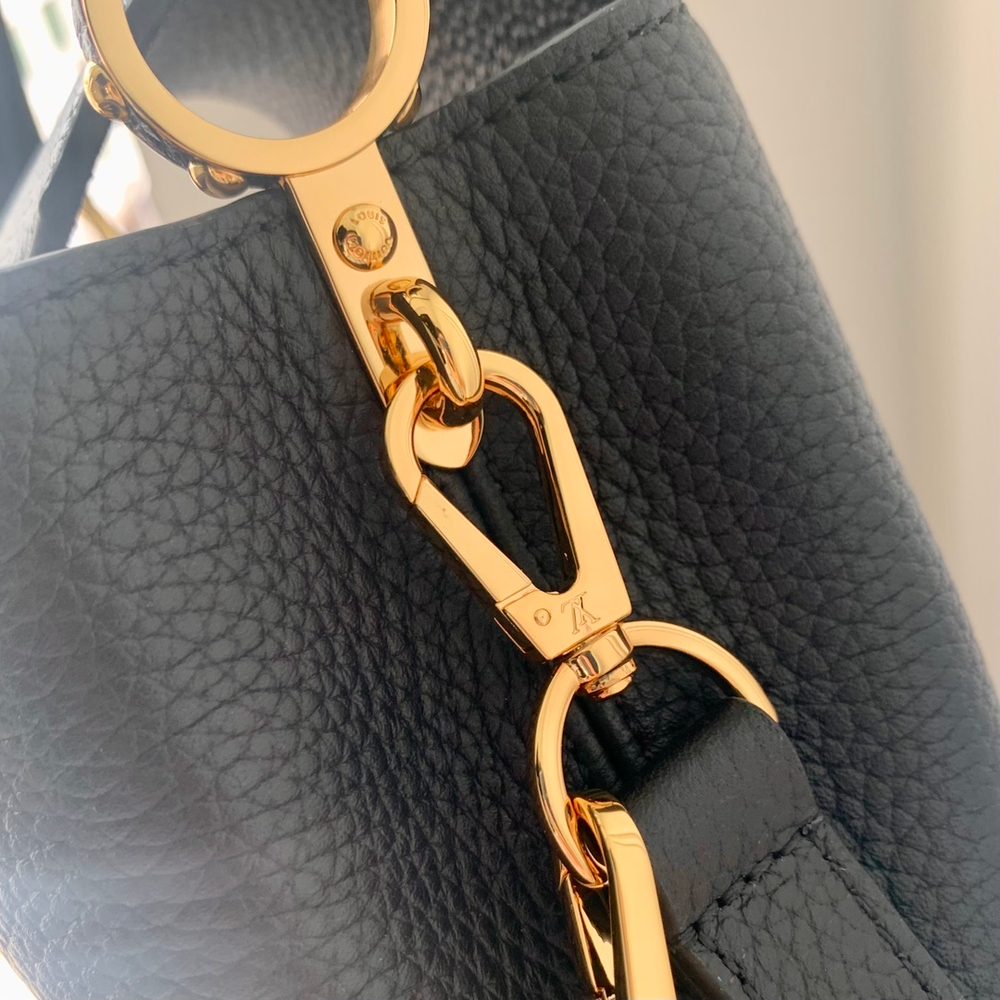Louis Vuitton Capucines Mini