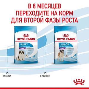 Корм для щенков очень крупных пород, Royal Canin Giant Puppy