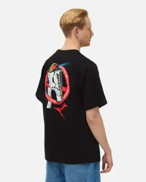 Футболка Anteater 393 чёрный