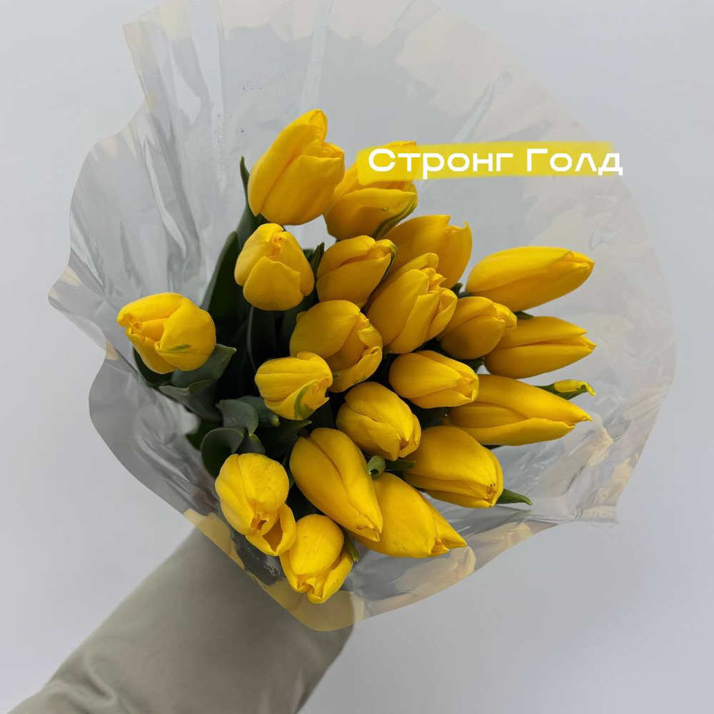 Тюльпаны желтые Стронг голд 1шт поштучно