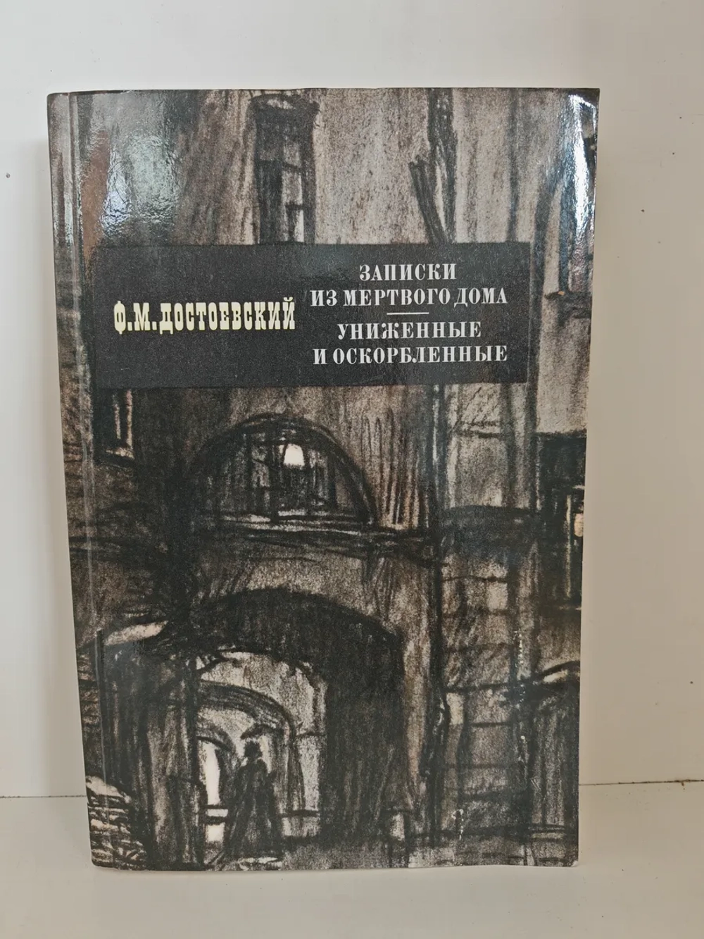 Записки из Мёртвого дома; Униженные и оскорблённые