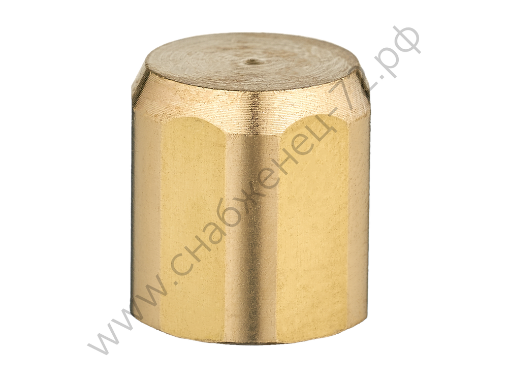 Заглушка разъема (MS) IZT0071-02