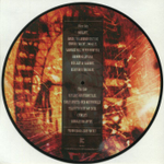 My Chemical Romance / I Brought You My Bullets, You Brought Me Your Love (Picture Disc)(LP)