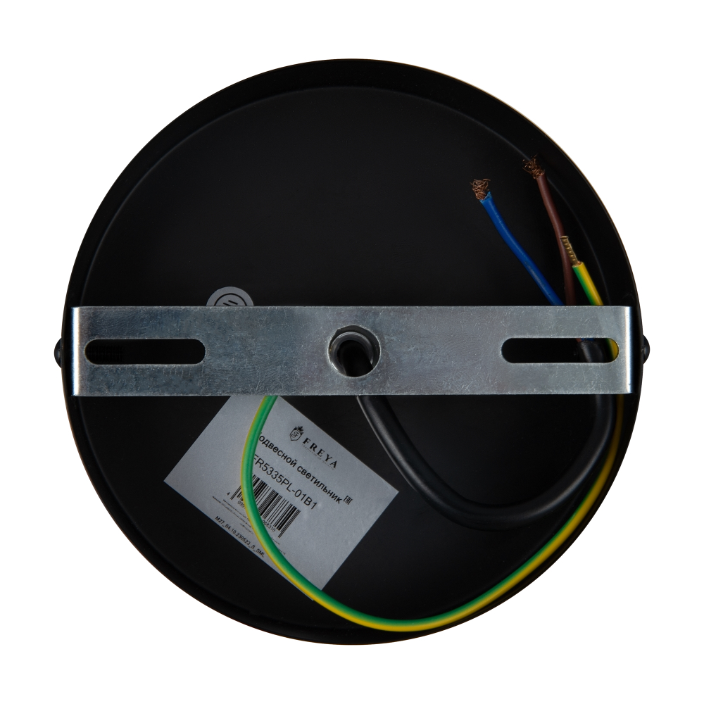 Подвесной светильник Freya FR5335PL-01B1