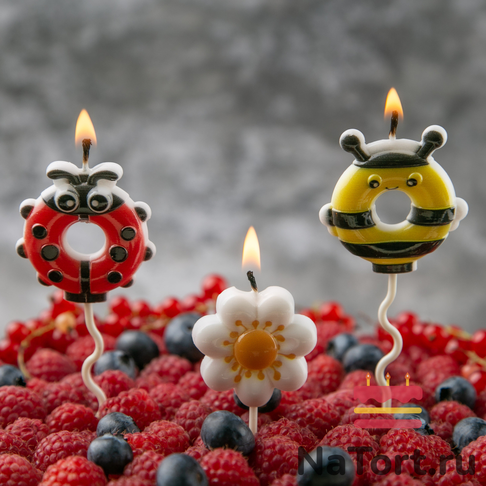 Набор свечей для торта «Насекомые», 12 см