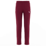 Мужские брюки PUMA Graphic Pants TR Open