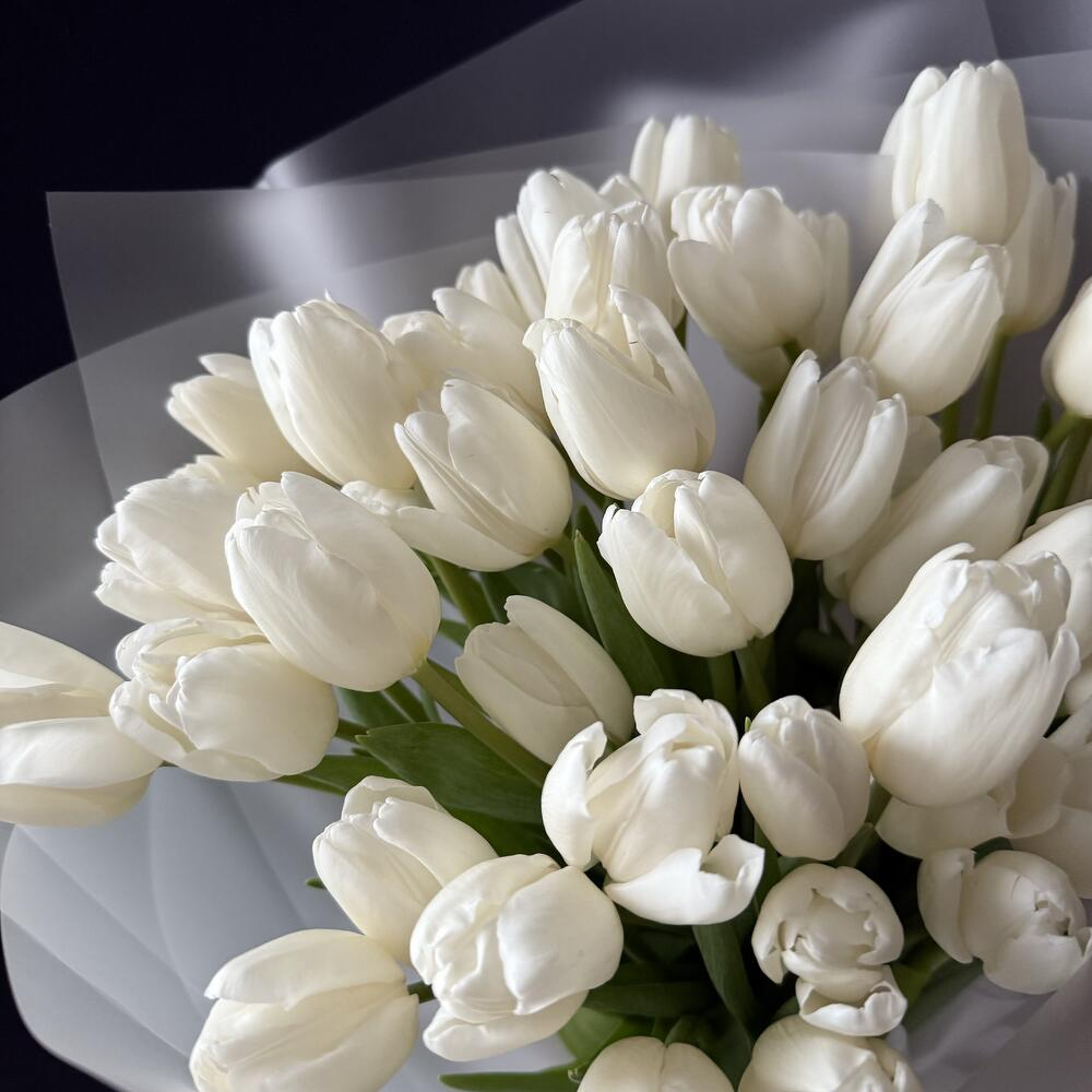 Букет из 49 белых тюльпанов