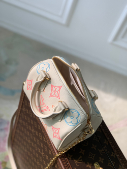 Louis Vuitton Speedy 20