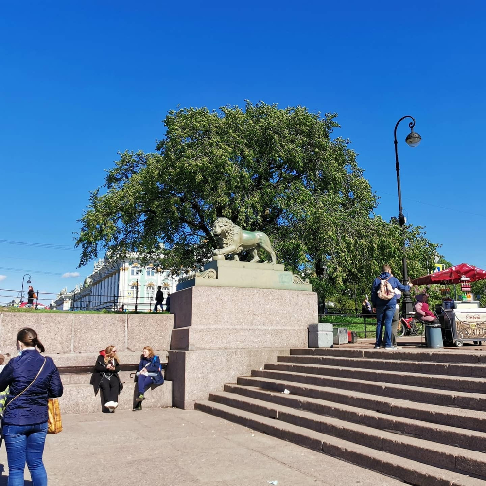 Грифон