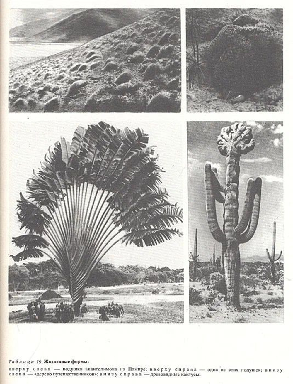 Жизнь растений. Энциклопедия в 6-ти томах (комплект из 7-ми книг)