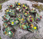 Земляная Свеча. Маленькая Зеленая. Материализация. Здоровье и Финансы + ПОДАРОК