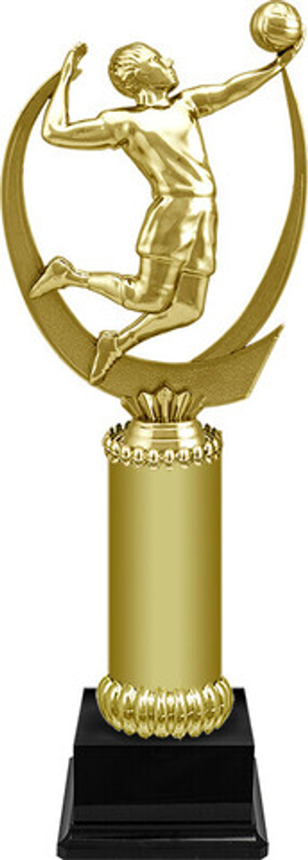 Награда "Волейбол"