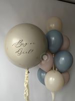 Воздушные шары на определение пола №8840