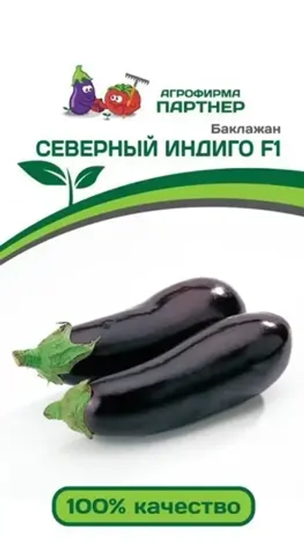 Баклажан Северный Индиго