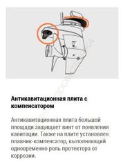 Лодочный мотор Tohatsu MFS9.8BS 9.8 л.с. четырехтактный
