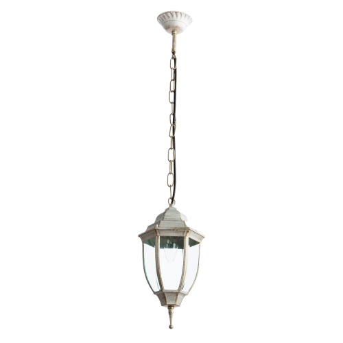 Уличный подвесной светильник Arte Lamp PEGASUS A3151SO-1WG