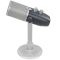AKG Ara C-22-USB-LS_0326411101541
