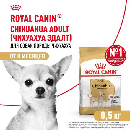 Royal Canin Chihuahua Adult Корм сухой для взрослых собак породы Чихуахуа от 8 месяцев 0,5 кг