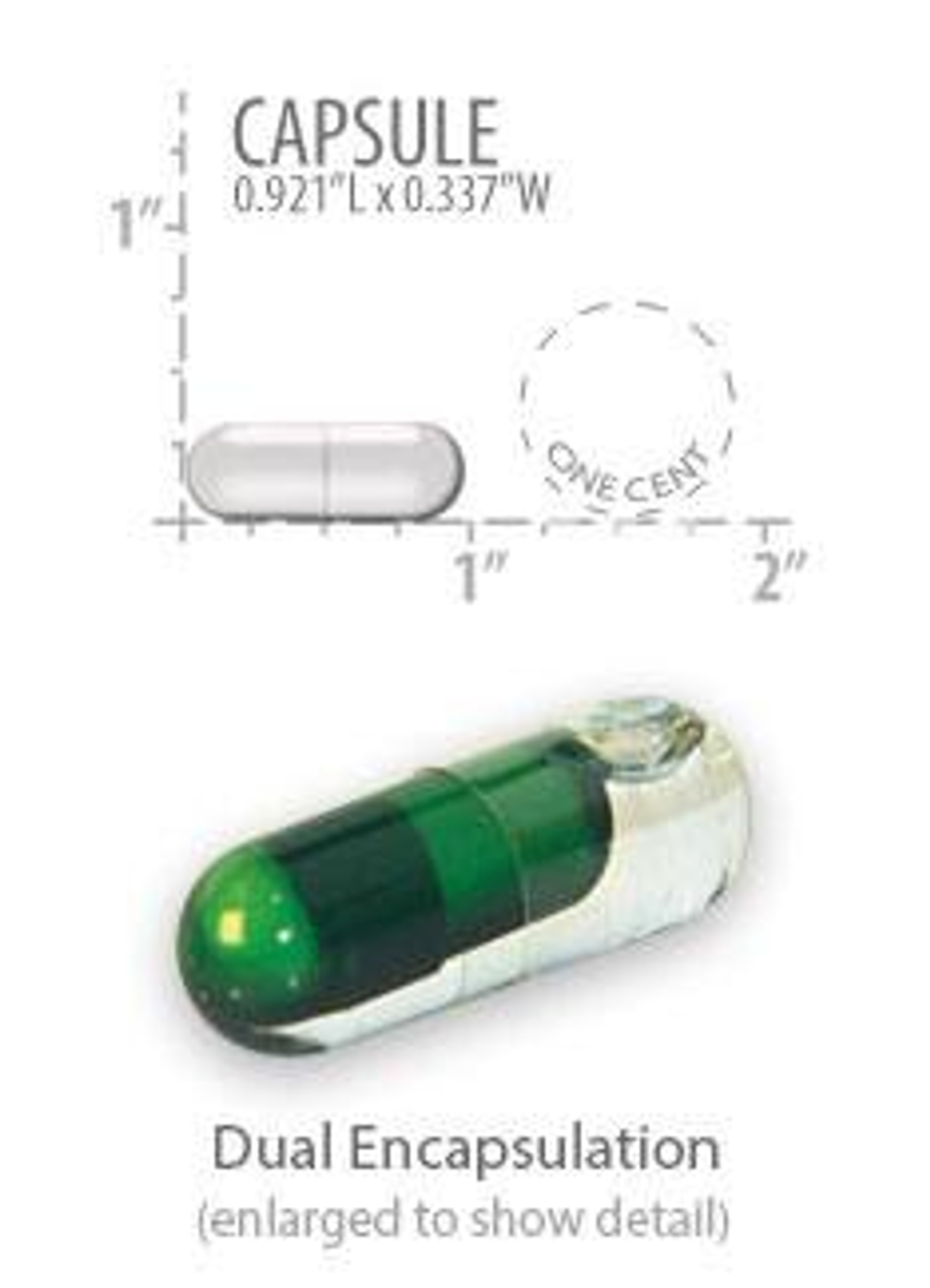 FLORASSIST GI with Phage Technology 30 жидких капсул Life Extension