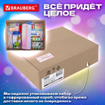 набор канцелярии подарочный BRAUBERG "PASTEL" 18 наименований 63 предмета