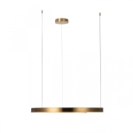 Подвесная люстра Loft It RING 10013L