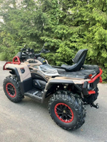 Квадроцикл AODES PathCross 650L Mud Pro EPS (ПСМ)