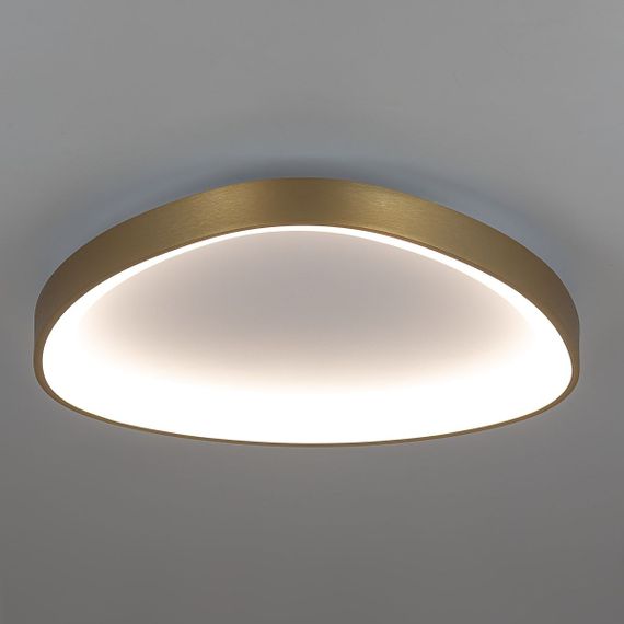 Потолочный светодиодный светильник Citilux Genka Smart CL756A142