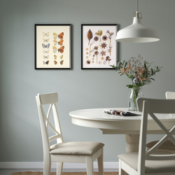 IKEA BILD  (ИКЕА БИЛД)  -  Плакат, коллекция бабочек и семян, 40x50 см