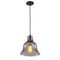 Подвесной светильник Arte Lamp Amiata A4255SP-1SM