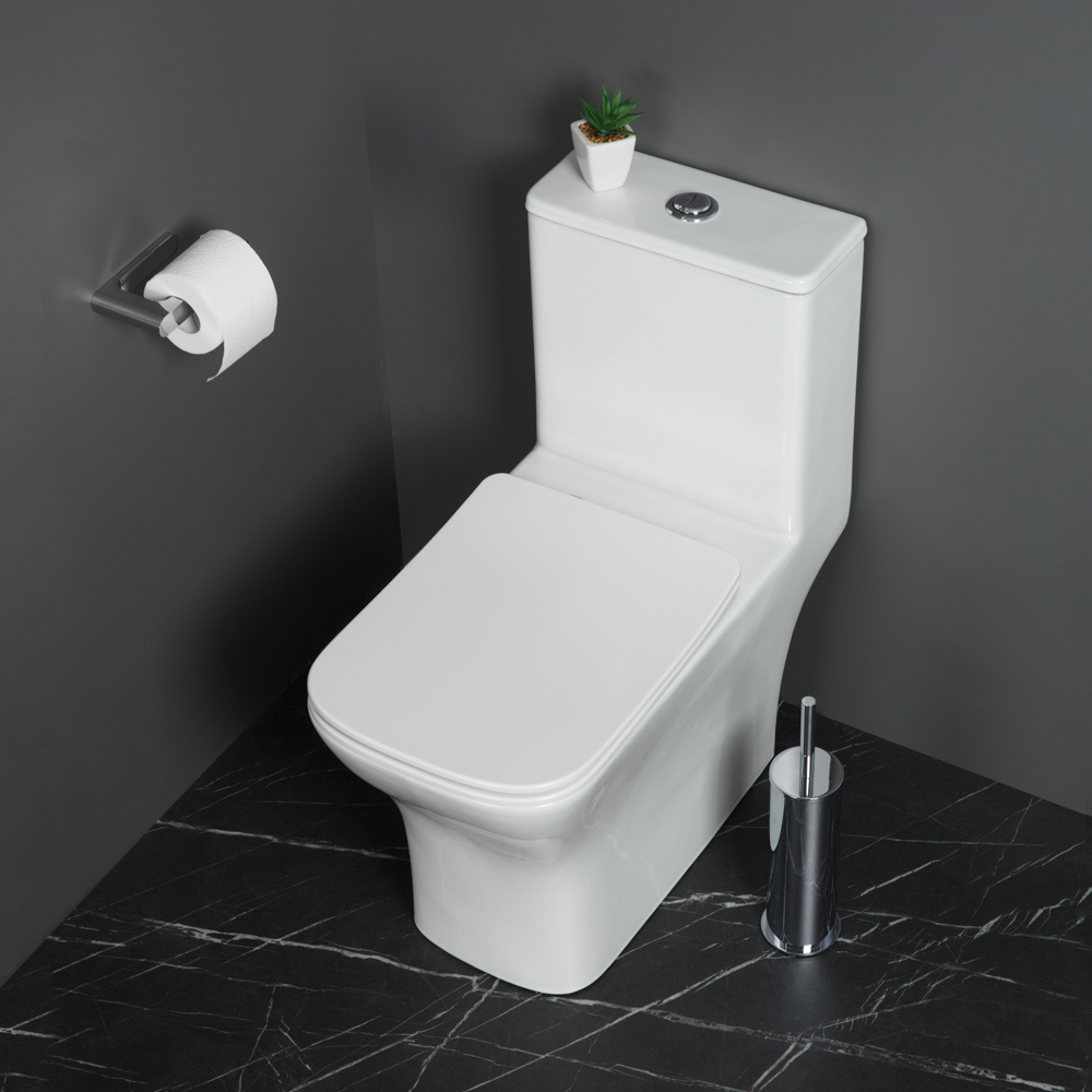 Унитаз-моноблок безободковый с сиденьем BelBagno NEON BB8617CPR-MN/SC