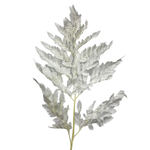 Папоротник белый "Rose"