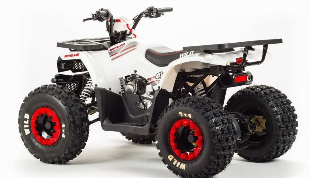 Квадроцикл MOTOLAND (МОТОЛЕНД) 125 WILD