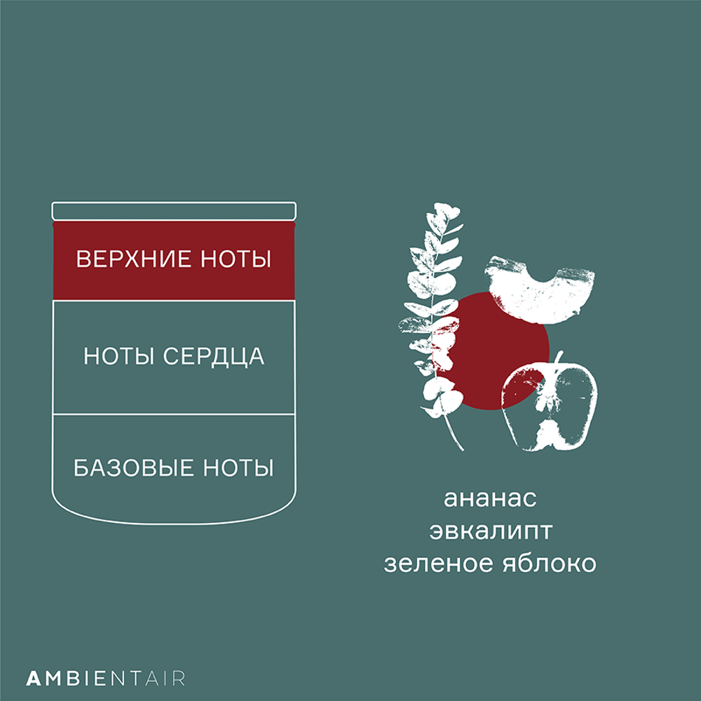 Свеча ароматическая Ambientair Gifting Корица и яблоко 40ч