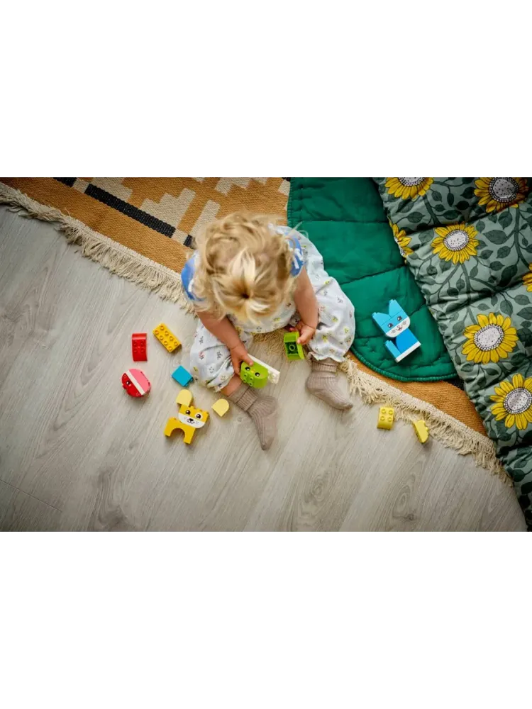Конструктор DUPLO 10477 Креативные милые питомцы 3в1