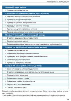 Бензогенератор TSS SGG 2800N