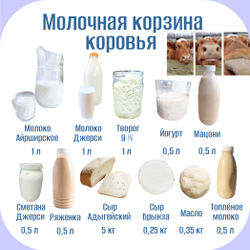 Молочная корзина коровья