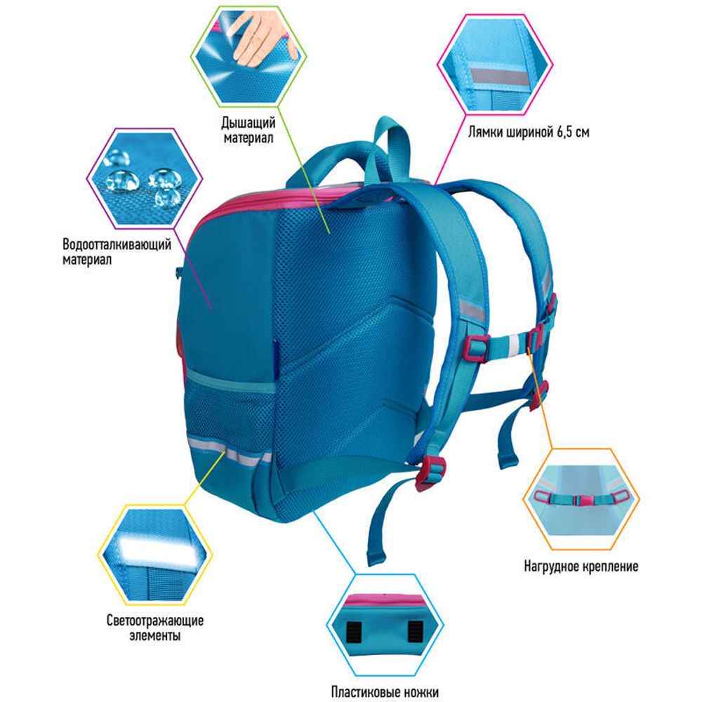 Ранец Berlingo Concept Cute corgi 35*27*16см, с анатомической спинкой