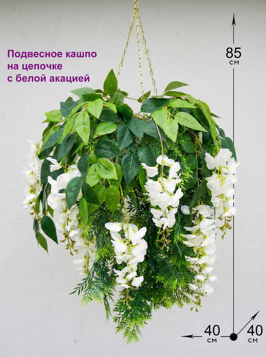Акация белая 7 цветков в подвесном белом кашпо на цепочке
