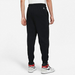 Штаны Jordan J Sprt Dna Hbr Flc Pant, DM3232-010