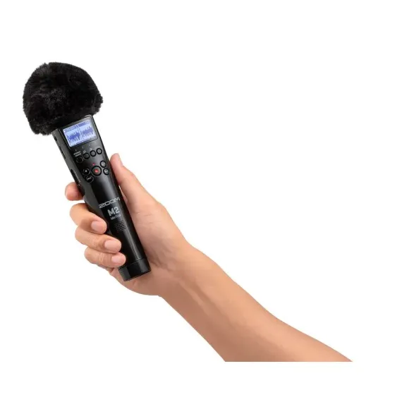 Zoom M2